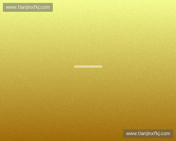 基于动态节奏框架的多维度分析与应用探索