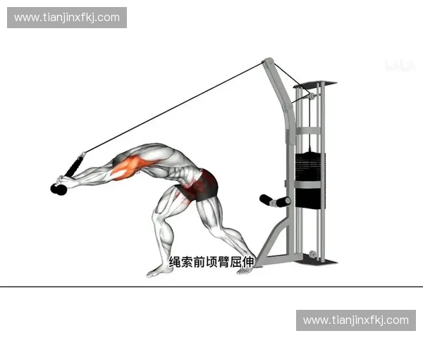 背部发力训练法：如何通过核心背部力量提升全身运动表现